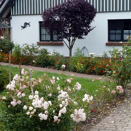 Kranichguck, App 2
